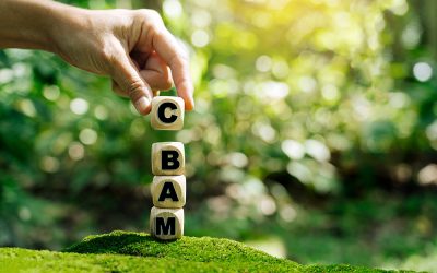 EU Carbon Import Price Rises: What UK Exporters Need to Know